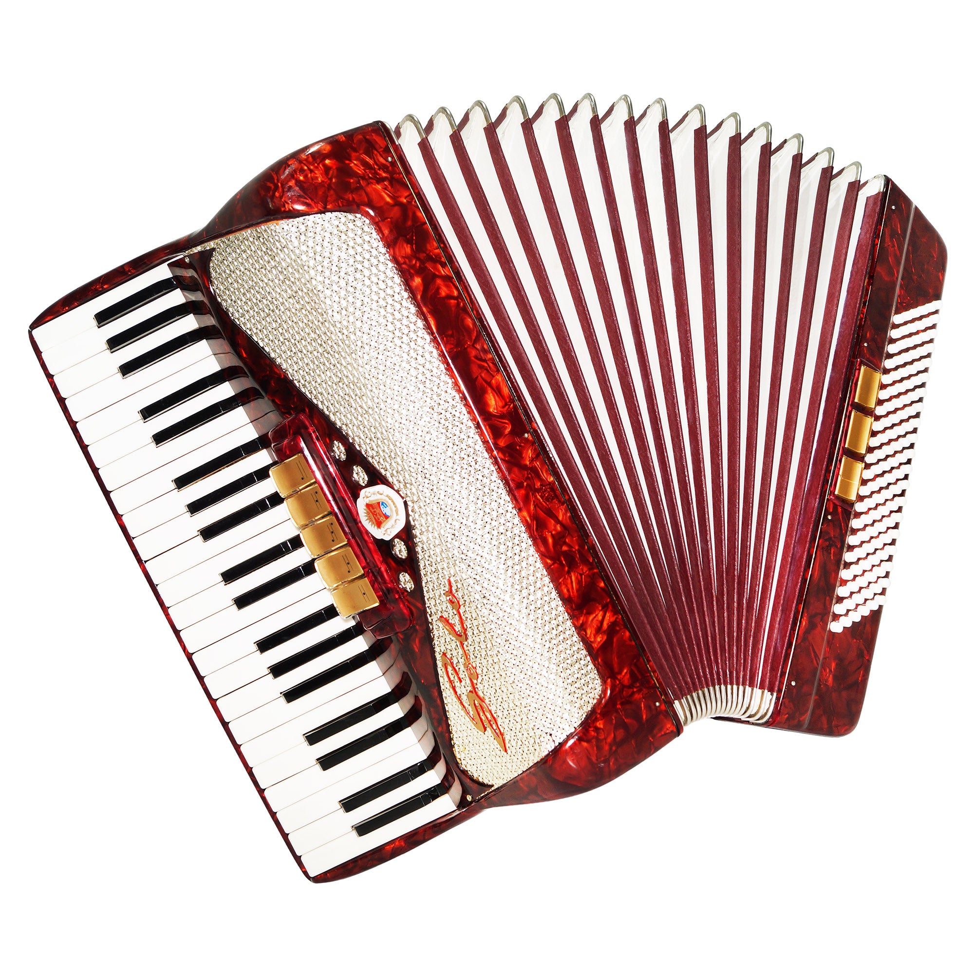 Rare Original Piano Accordion Solo, made in Germany, 120 Bass, New Straps, Case 1503, Rich and Bright Sound!