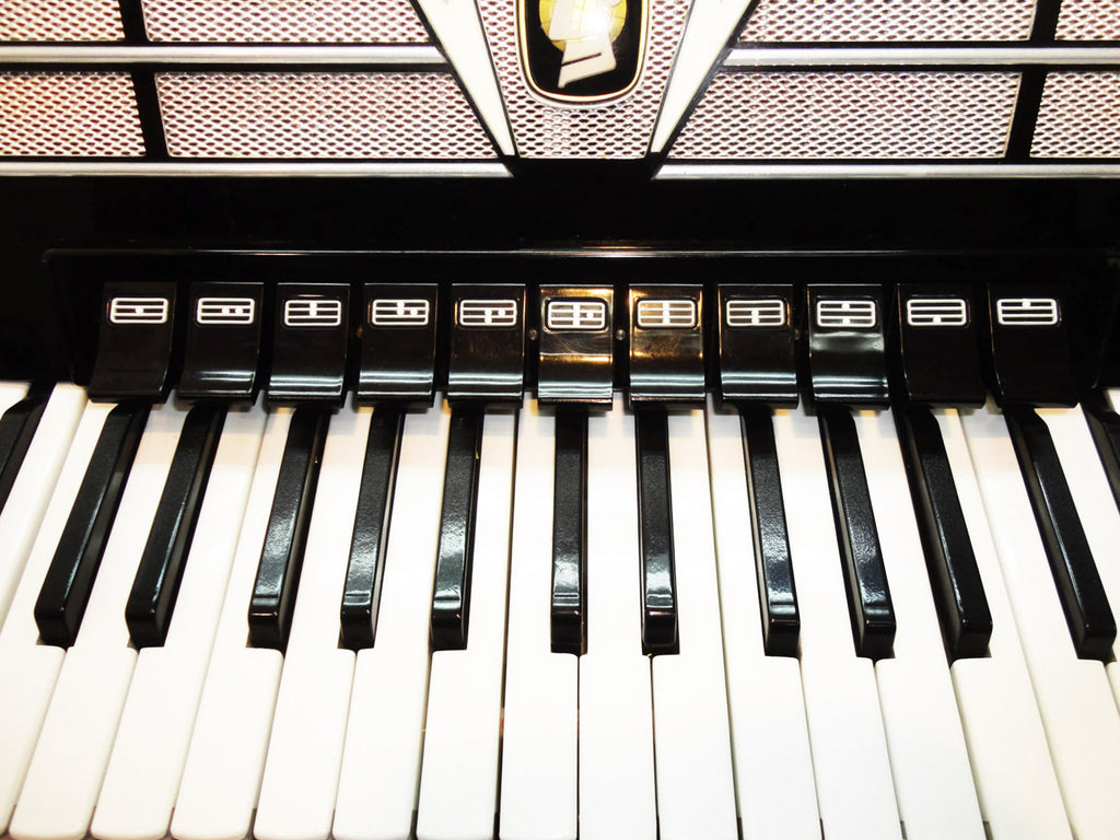 Weltmeister Amigo 120 Bass, 16 Registers, Bag & New Straps, German Accordion 806, Original, Excellent Accordian For Sale