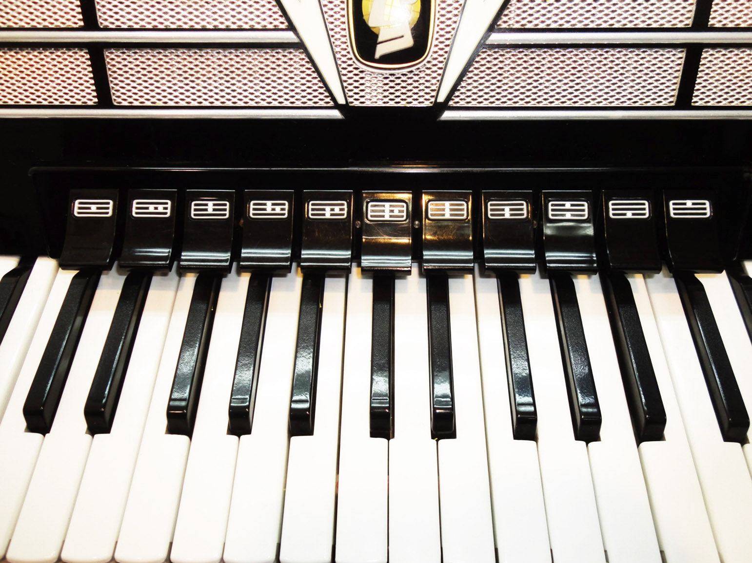 Weltmeister Amigo 120 Bass, 16 Registers, Bag & New Straps, German Accordion 806, Original, Excellent Accordian For Sale