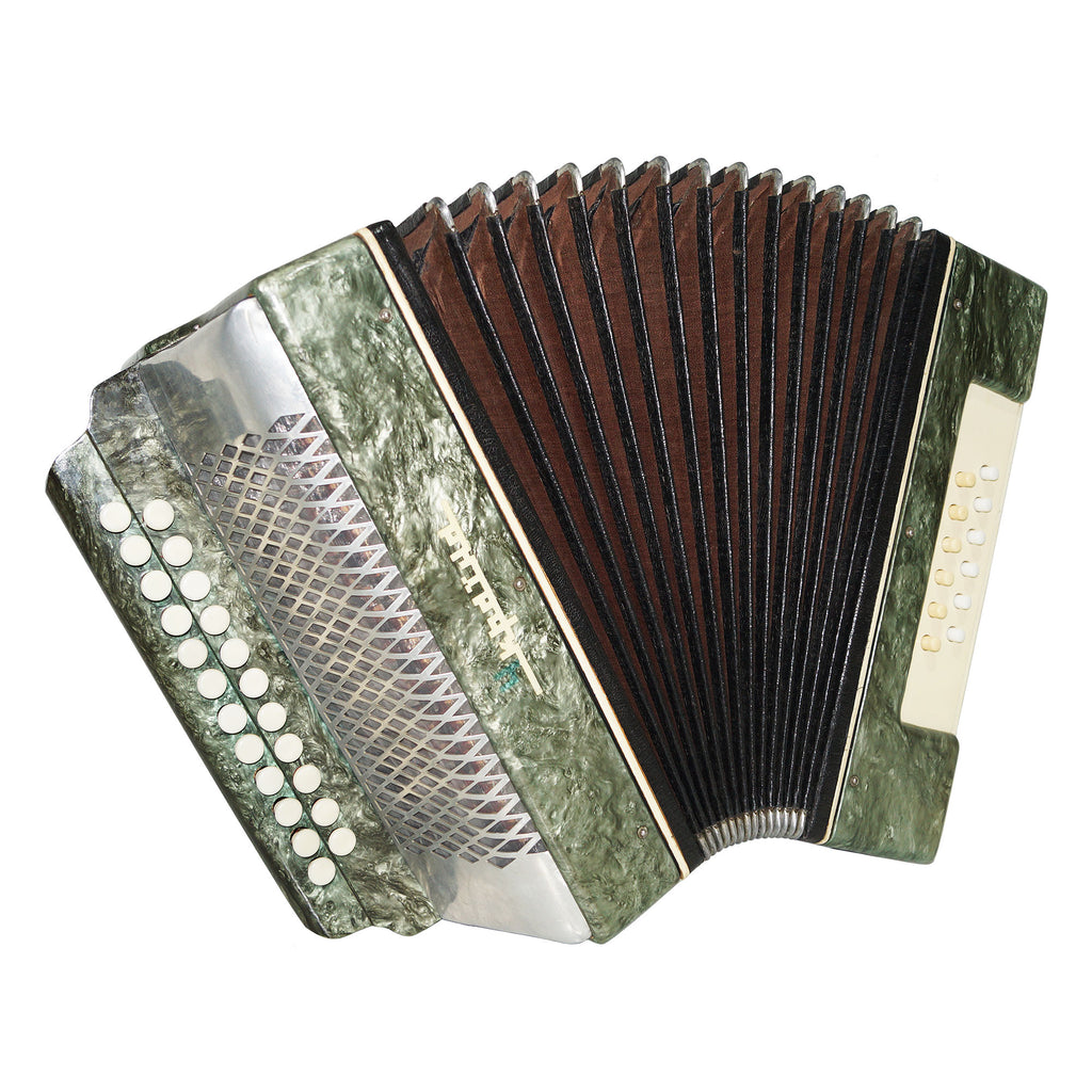 Folk Bayan Garmon Ukraine, Vintage Button Accordion Harmonica, 23x12 Squeezebox, Old Garmoshka in Tune, 1584