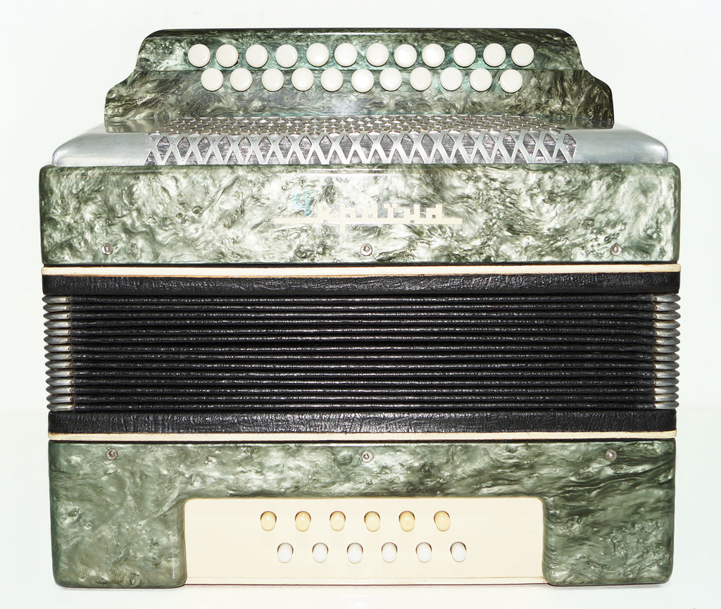 Folk Bayan Garmon Ukraine, Vintage Button Accordion Harmonica, 23x12 Squeezebox, Old Garmoshka in Tune, 1584