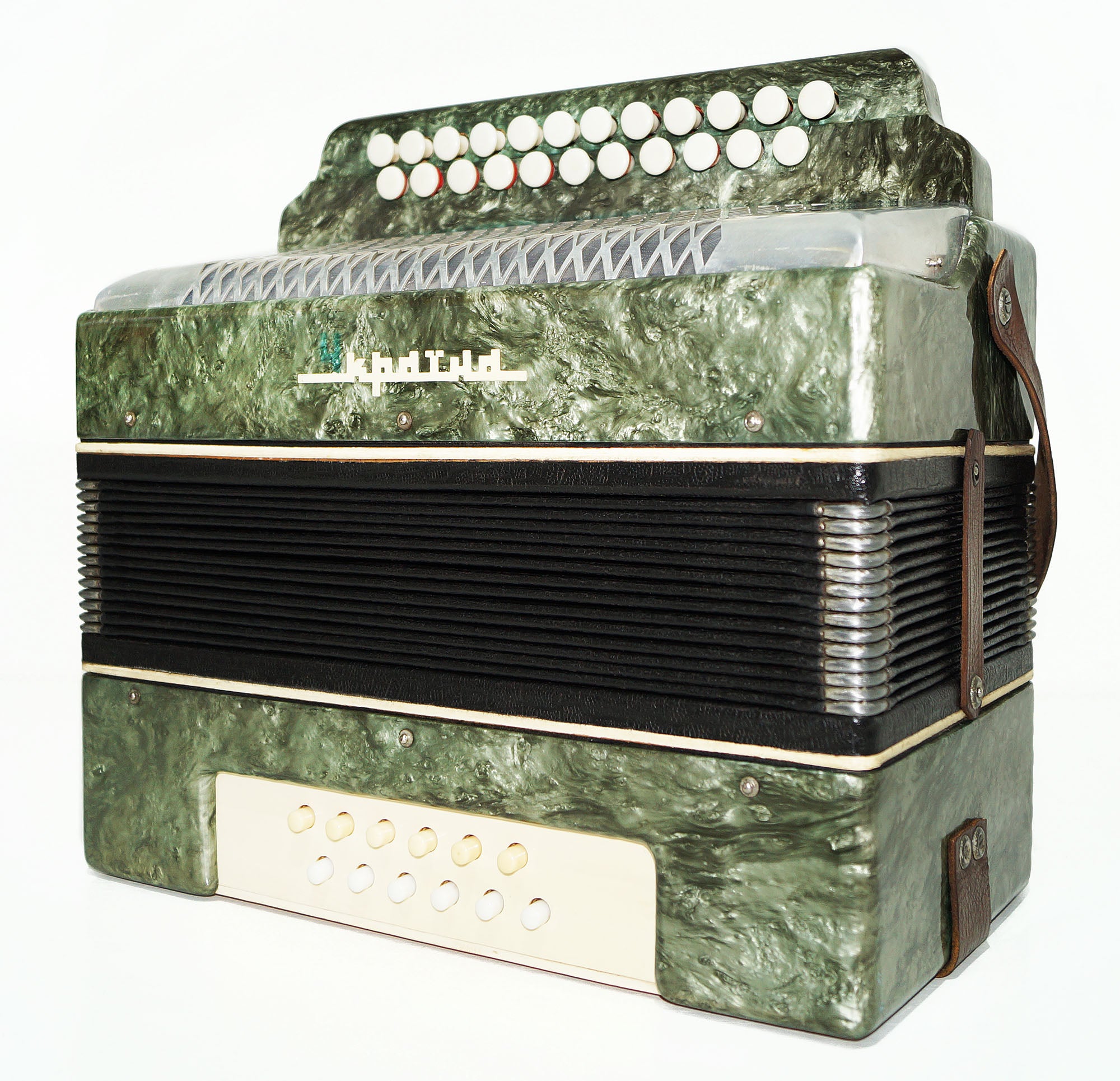 Folk Bayan Garmon Ukraine, Vintage Button Accordion Harmonica, 23x12 Squeezebox, Old Garmoshka in Tune, 1584