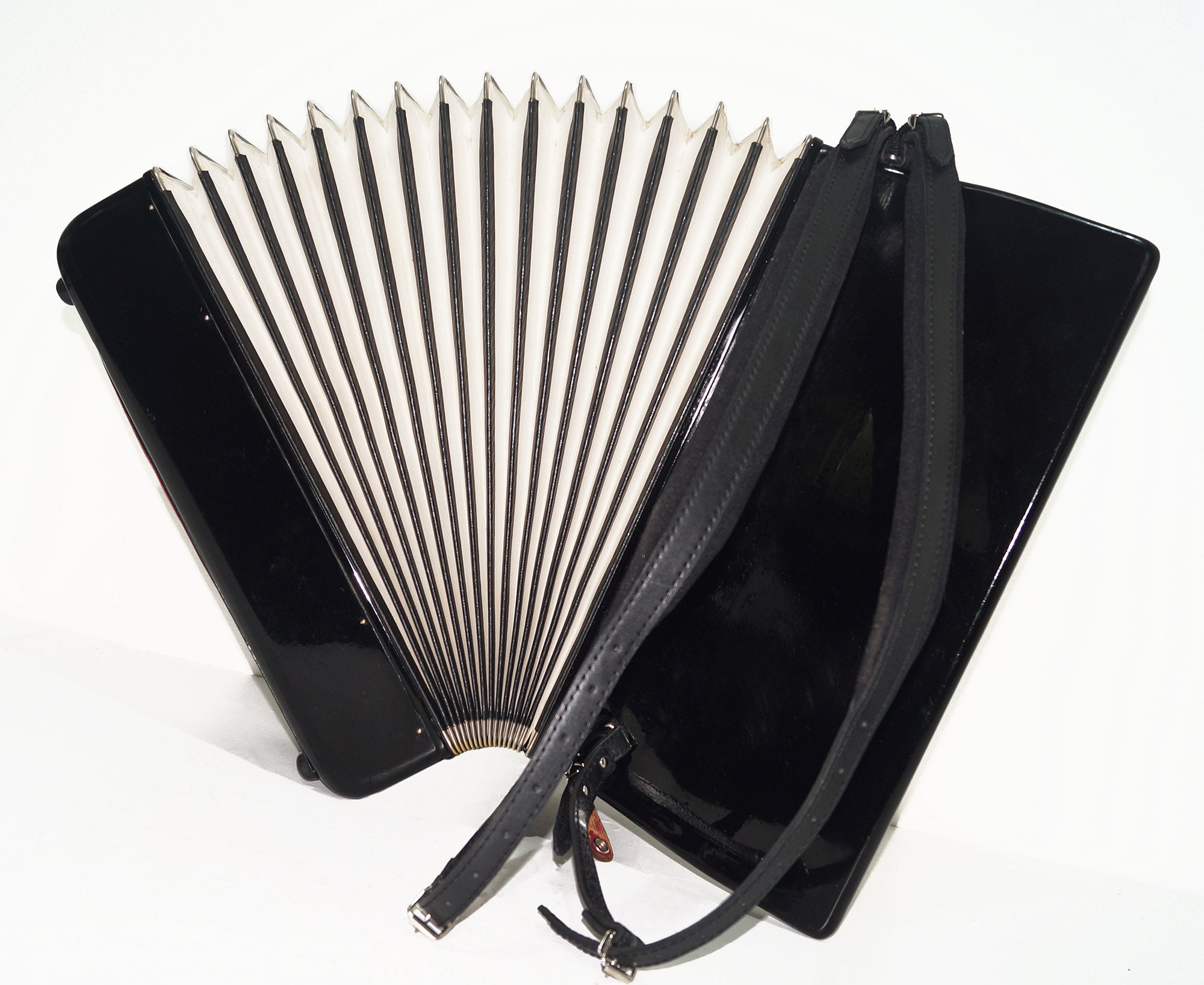 Firotti Elegance 120 Bass made in Germany Piano Accordion Keyboard Accordion Musical Instrument for Adults New Straps Case 1724, Rich Beautiful Sound!