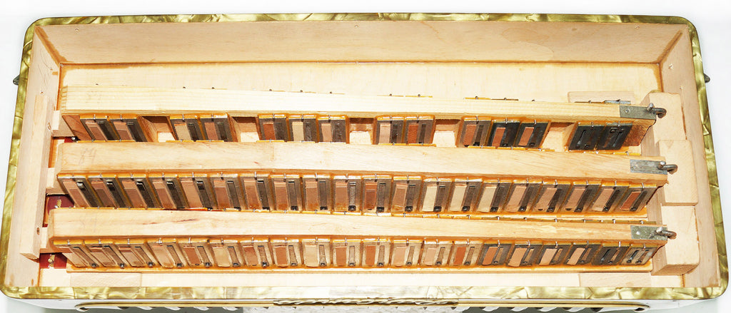 Lightweight Vintage Parlando 80 Bass, German Beginner Children Kids Accordion 1865, Original Straps, Rich and Powerful Sound.