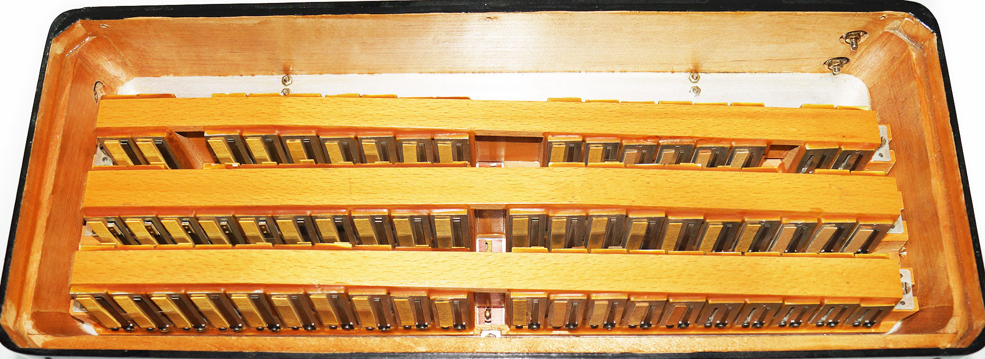 Firotti Elegance 96 Bass made in Germany Piano Accordion New Straps Case 1935, Rich and Beautiful Sound!