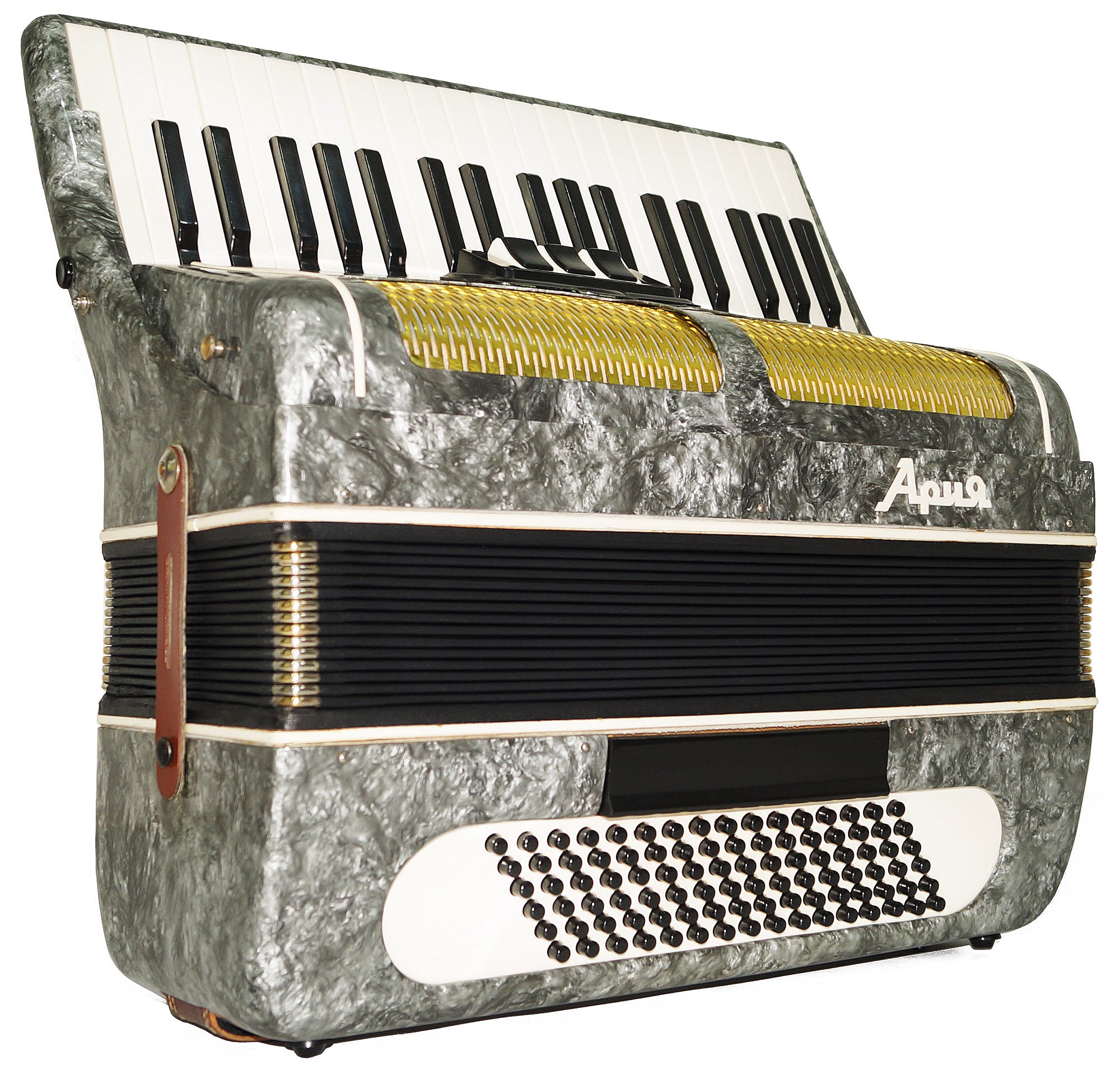 Piano Accordion Ariya 96 Bass Buttons Original Keyboard Accordian New Straps 2174, Wonderful sound!