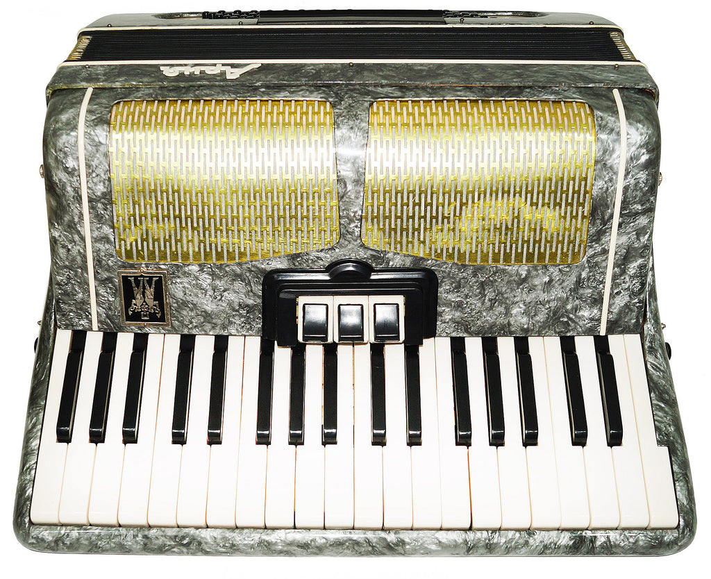 Piano Accordion Ariya 96 Bass Buttons Original Keyboard Accordian New Straps 2174, Wonderful sound!