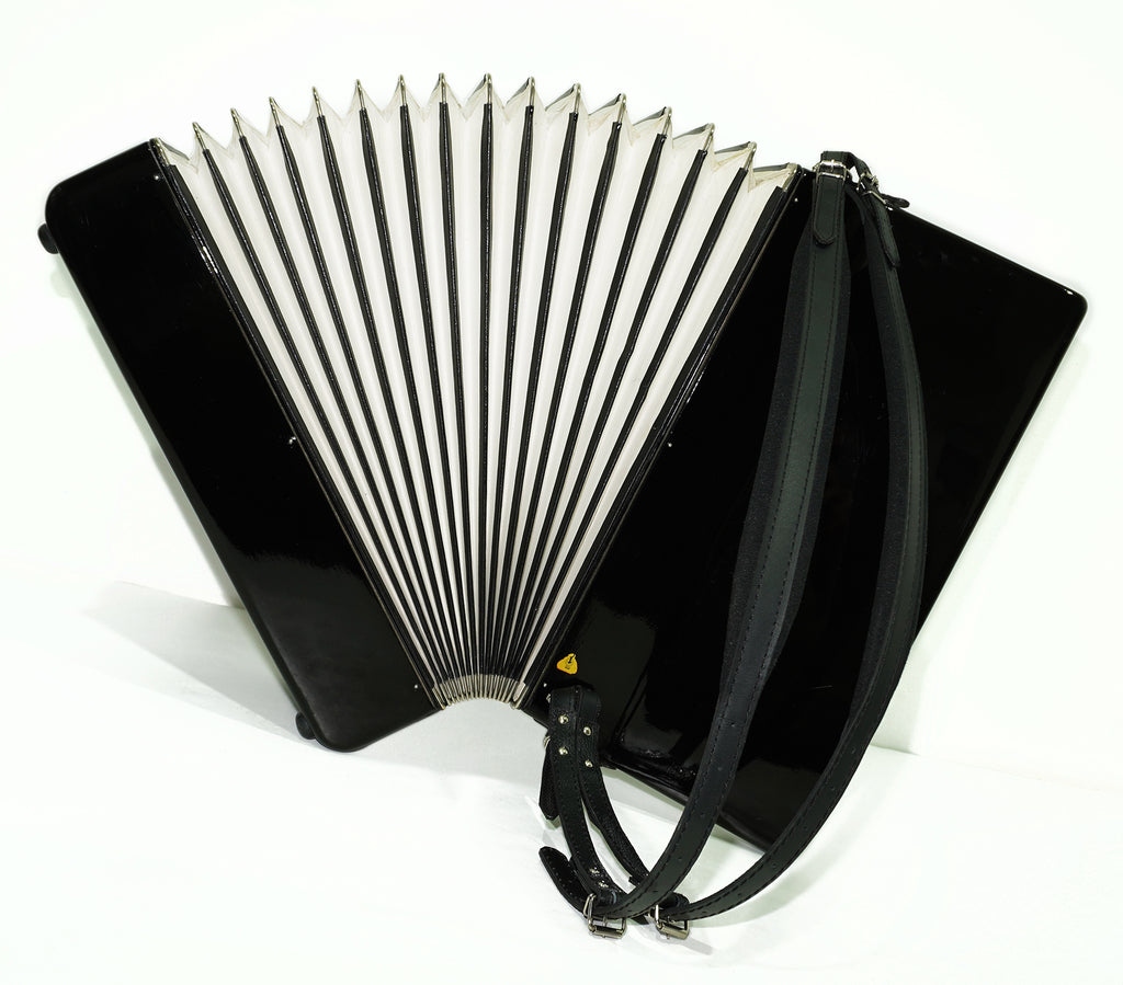 Weltmeister Stella Piano Accordion, made in Germany, 120 Bass New Straps Case 2340, Quality Musical Instrument for Adults, Rich and Powerful sound!