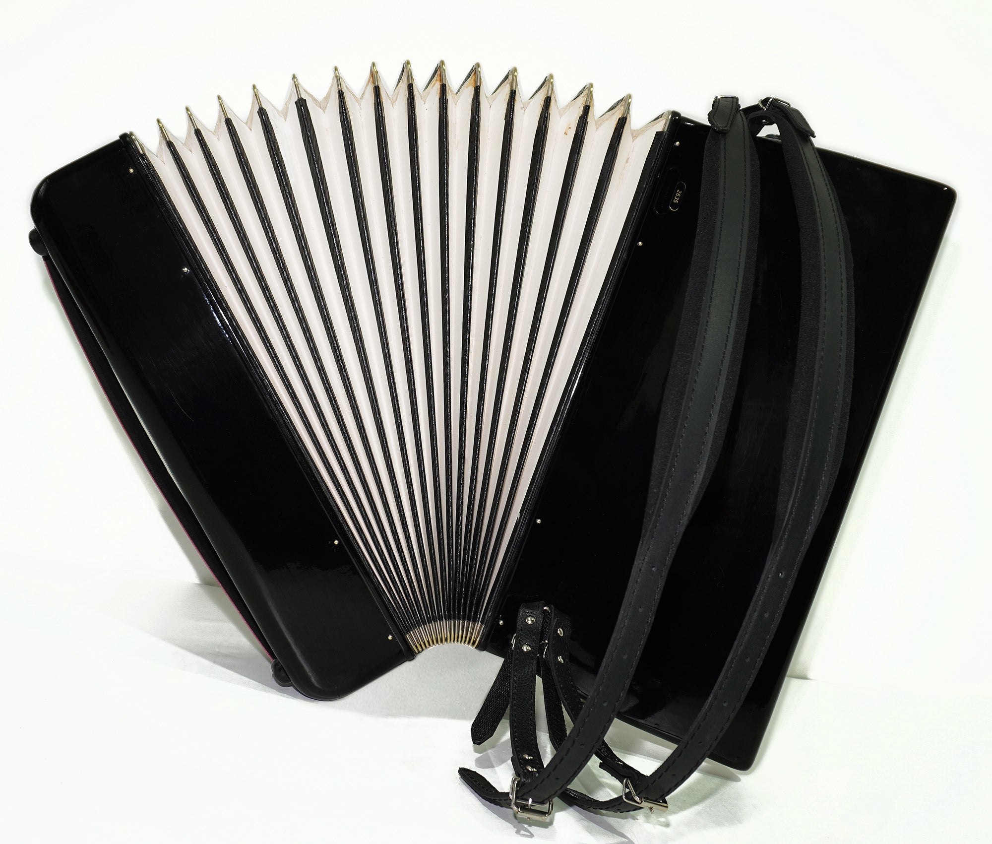Firotti Eroica 120 Bass made in Germany Piano Accordion Musical Instrument for Adults New Straps Case 2345, Keyboard Accordian, Rich Beautiful Sound!