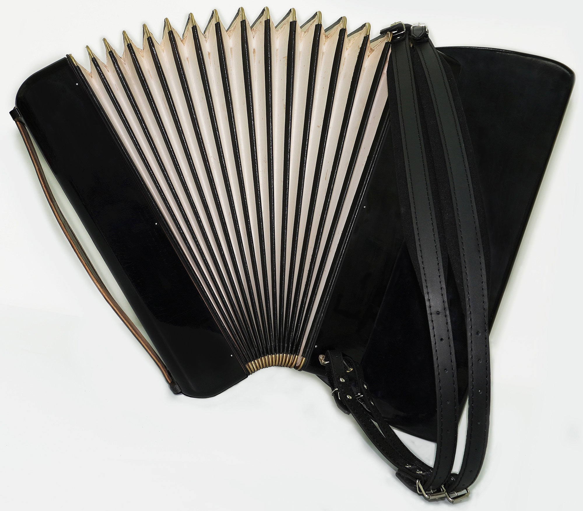 Hohner Tango VM Accordian made in Germany Original Piano Accordion, incl. New Straps Soft Case, Quality Concert Accordion, 2386, Amazing Rich Sound