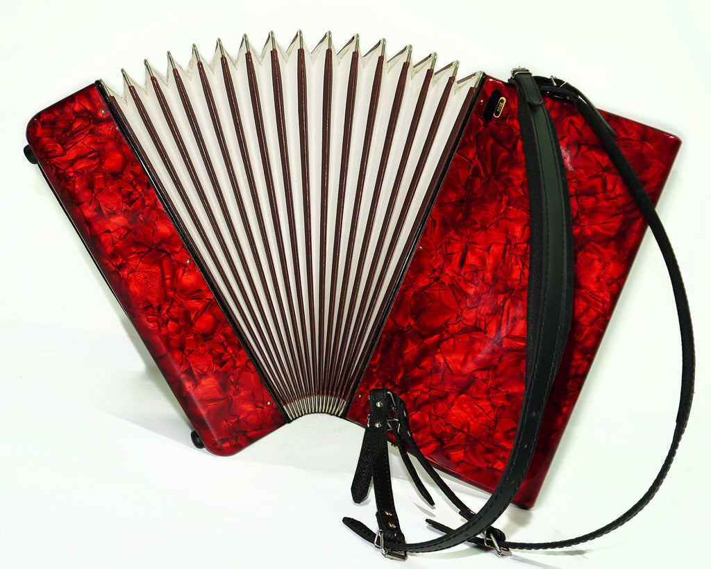 Firotti Elegance Piano Accordion, made in Germany, 96 Bass Buttons, New Straps, 2406, Amazing sound, Acordione Musicales