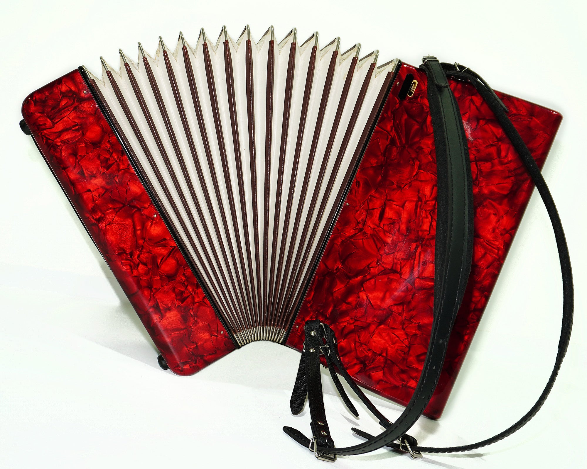 Firotti Elegance Piano Accordion, made in Germany, 96 Bass Buttons, New Straps, 2406, Amazing sound, Acordione Musicales