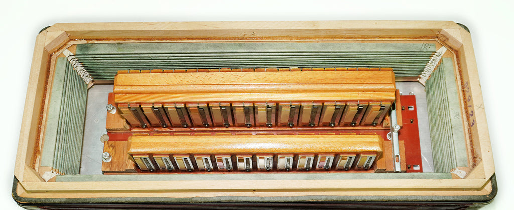 Firotti Elegance Piano Accordion, made in Germany, 96 Bass Buttons, New Straps, 2406, Amazing sound, Acordione Musicales