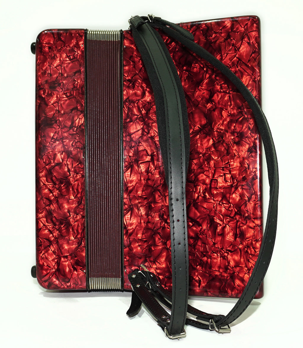 Weltmeister Stella Accordion 120 Bass made in Germany, New Straps Soft Case for Gift, Vintage Keyboard Piano Accordian Musical Instrument, 2446