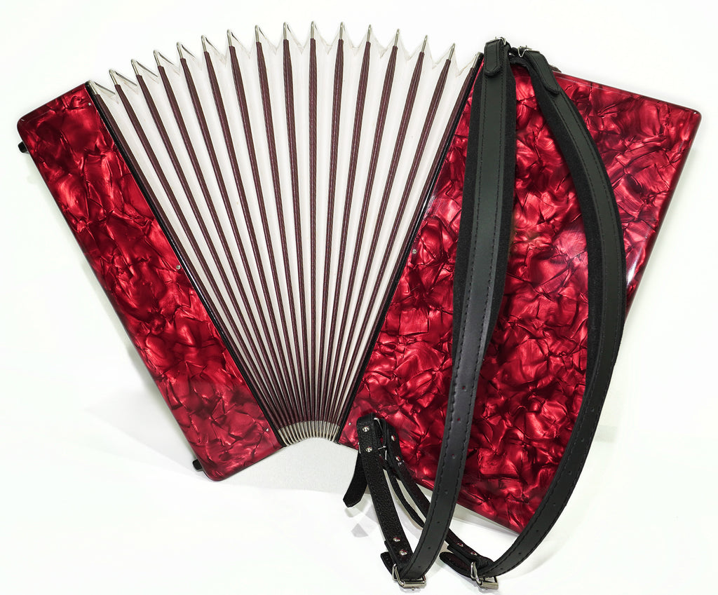 Weltmeister Diana Piano Accordion 120 Bass, made in Germany, New Straps and Soft Case for Gift, 2464, Quality Musical Instrument for Adults, Rich and Powerful sound!