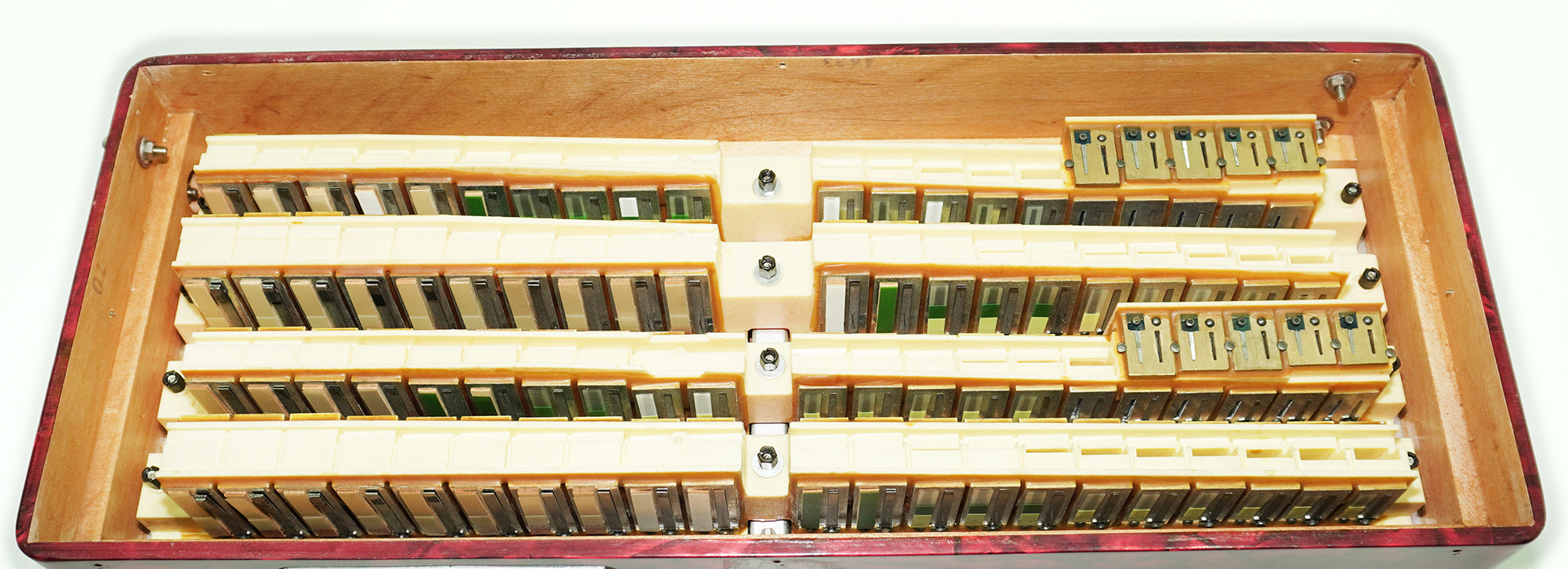 Weltmeister Diana Piano Accordion 120 Bass, made in Germany, New Straps and Soft Case for Gift, 2464, Quality Musical Instrument for Adults, Rich and Powerful sound!