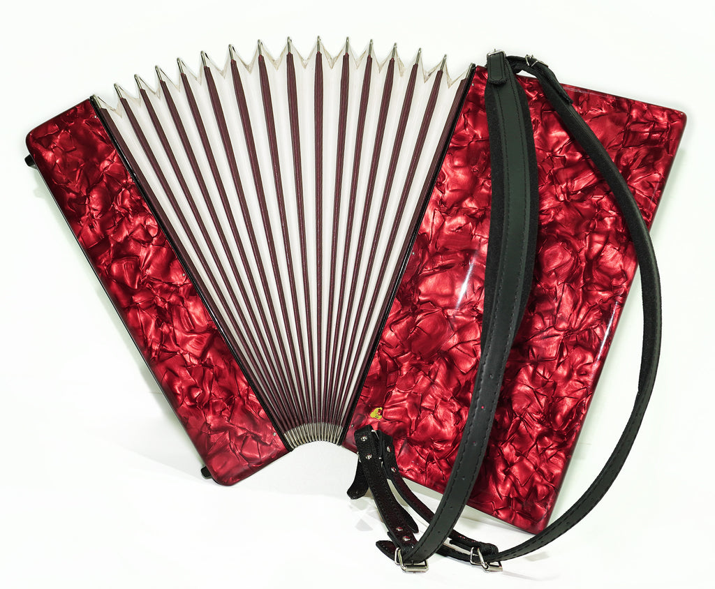 Weltmeister Stella Accordion 120 Bass made in Germany, New Straps Soft Case for Gift, Vintage Keyboard Piano Accordian Musical Instrument, 2471