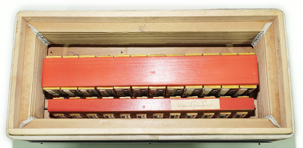 Bajan Tembr, Ukraine Knopfakkordeon, 100 Bassknöpfe, neue Riemen, Concertina Stradella B-System, sowjetische Mundharmonika gestimmt, 2658