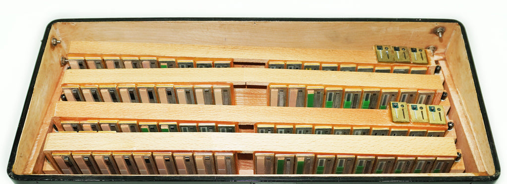 Weltmeister Amigo Accordion 96 Bass made in Germany, New Straps Soft Case for Gift, Vintage Keyboard Piano Accordian Musical Instrument, 2480