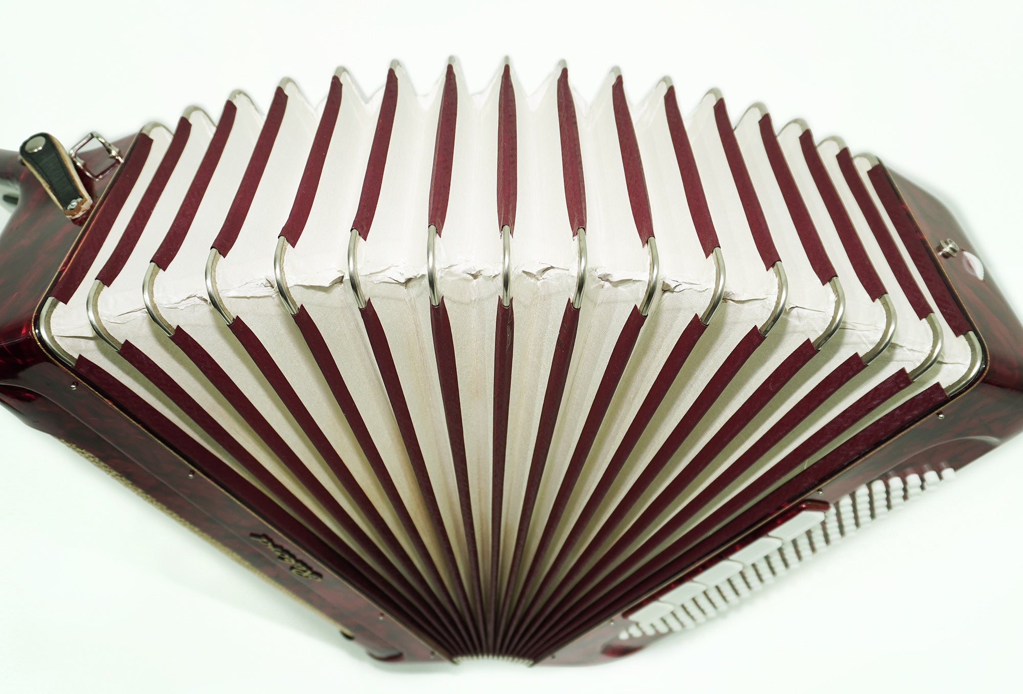 German Piano Accordion Record 120 Bass, New Straps for Gift, Quality Musical Instrument for Adults, 2493, Rich Powerful sound!