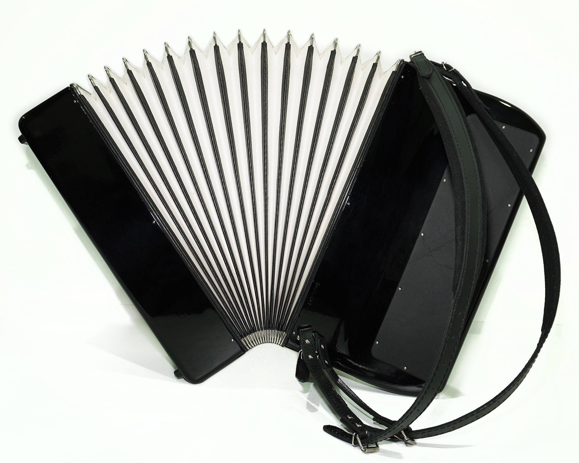 Weltmeister Grandina 120 Bass Button Accordion Bayan made in Germany B Griff Stradella, New Straps Soft Case, Concert Professional Accordion, 2505