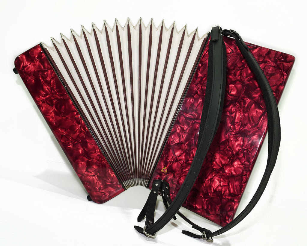 Weltmeister Stella Klavierakkordeon 120 Bässe hergestellt in Deutschland, neue Riemen, weiche Tasche als Geschenk, Vintage Tastenakkordeon Musikinstrument, 2521
