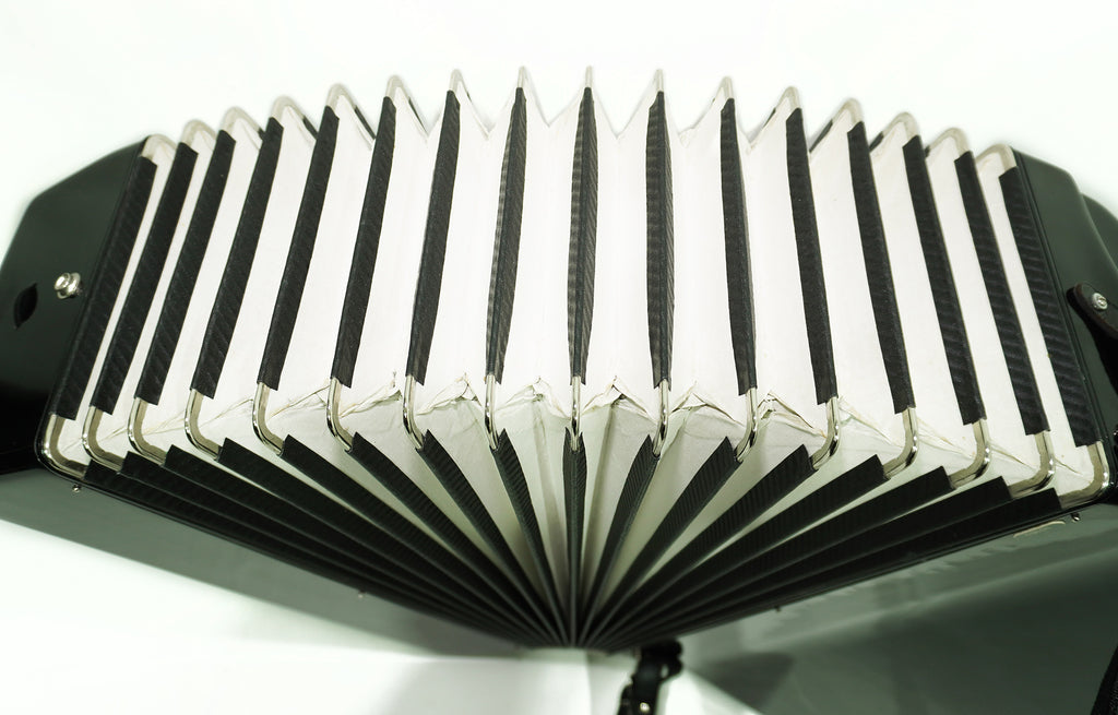 Universum Elegance made in Germany 120 Bass Piano Accordion, New Straps and Soft Case, Keyboard Accordian Musical Instrument Fisarmonica, 2509