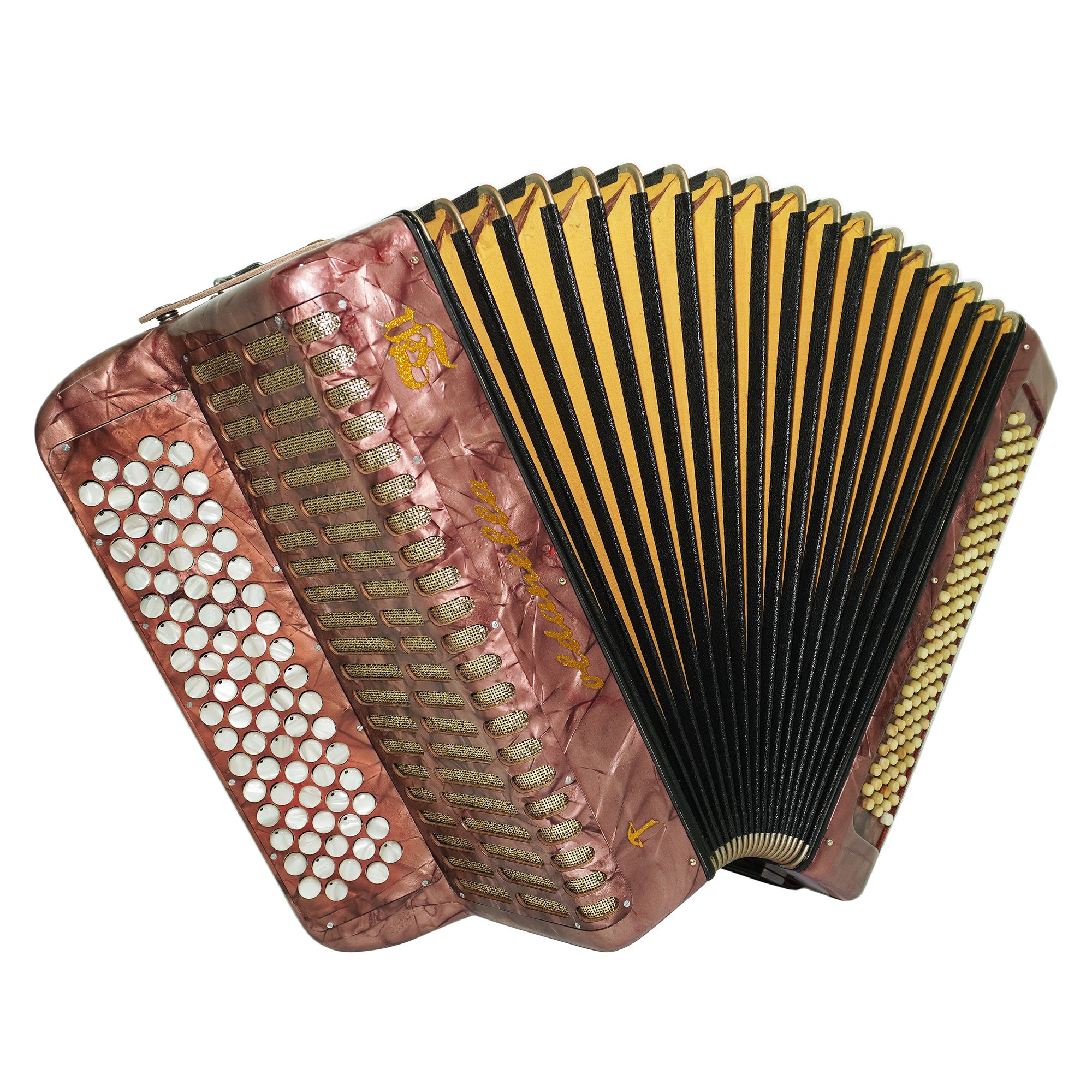 Rare Soldanella 5 Row Button Accordion, made in Switzerland, New Straps, Vintage Original Accordeone de Botones, Old Accordian Bajan, 2535