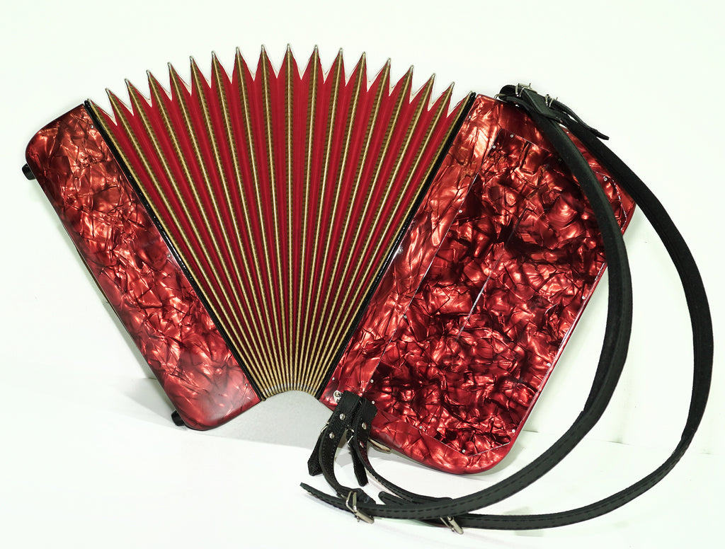 Vintage Hohner Riviera III 5 Row Button Accordion Bayan made in Germany, C System, New Straps and Hard Case, Original Accordeone de Botones, 2534