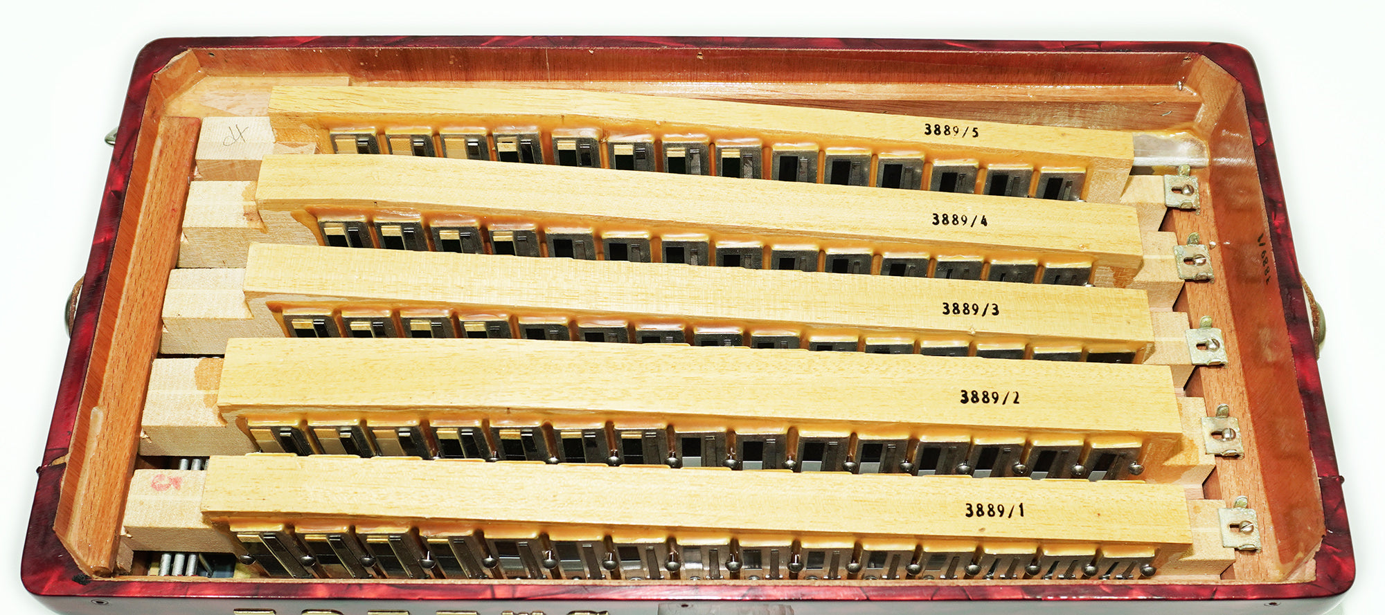 Hohner Maestro III 5 Row Lightweight Button Accordion Bayan 96 Bass made in Germany, C System, New Straps, Original Accordeone de Botones, 2553