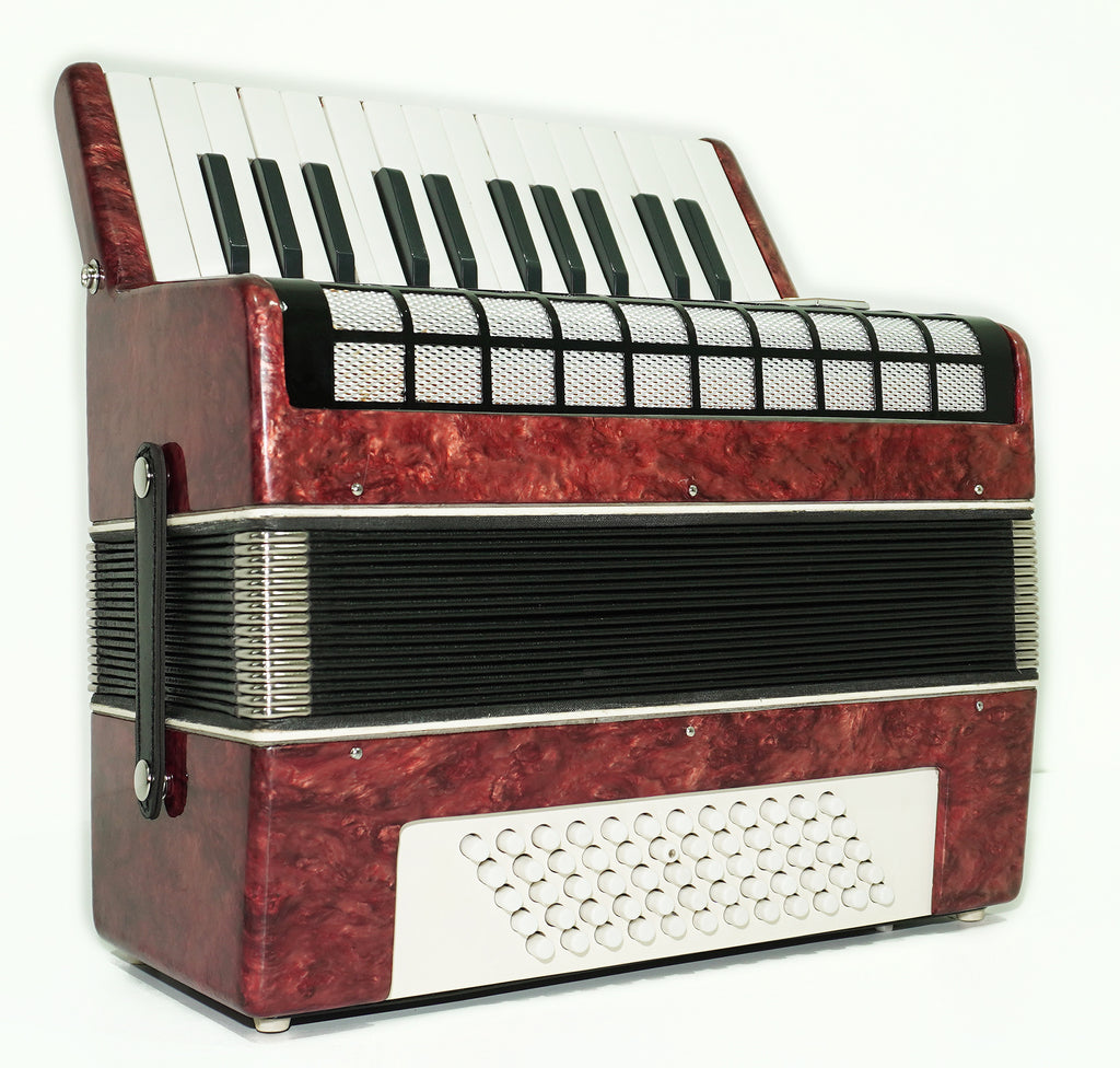 Lightweight Piano Accordion 60 Bass Yunost for Beginners Children Kids, New Straps, Small Concertina Musicales for Study, 2550