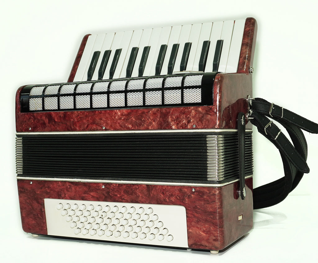 Lightweight Piano Accordion 60 Bass Yunost for Beginners Children Kids, New Straps, Small Concertina Musicales for Study, 2550