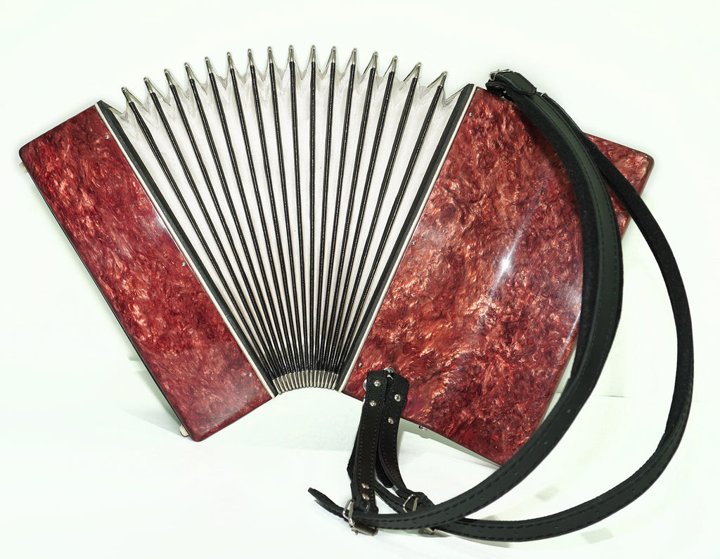 Lightweight Piano Accordion 60 Bass Yunost for Beginners Children Kids, New Straps, Small Concertina Musicales for Study, 2550