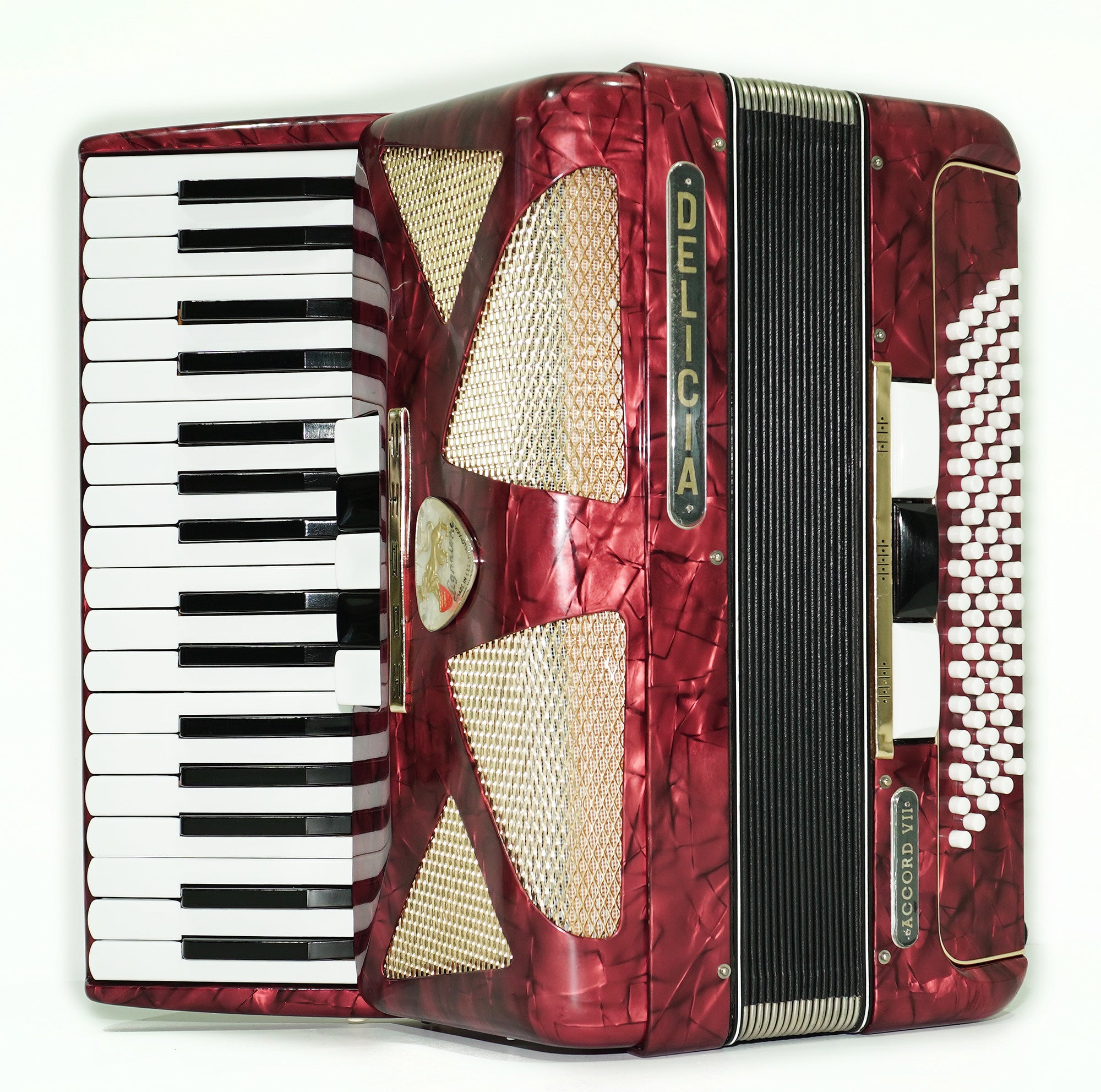 Vintage Lignatone Delicia Accord VII Piano Accordion 80 Bass, made in Czechoslovakia, New Straps, Original Keyboard Musical Instrument, 2552