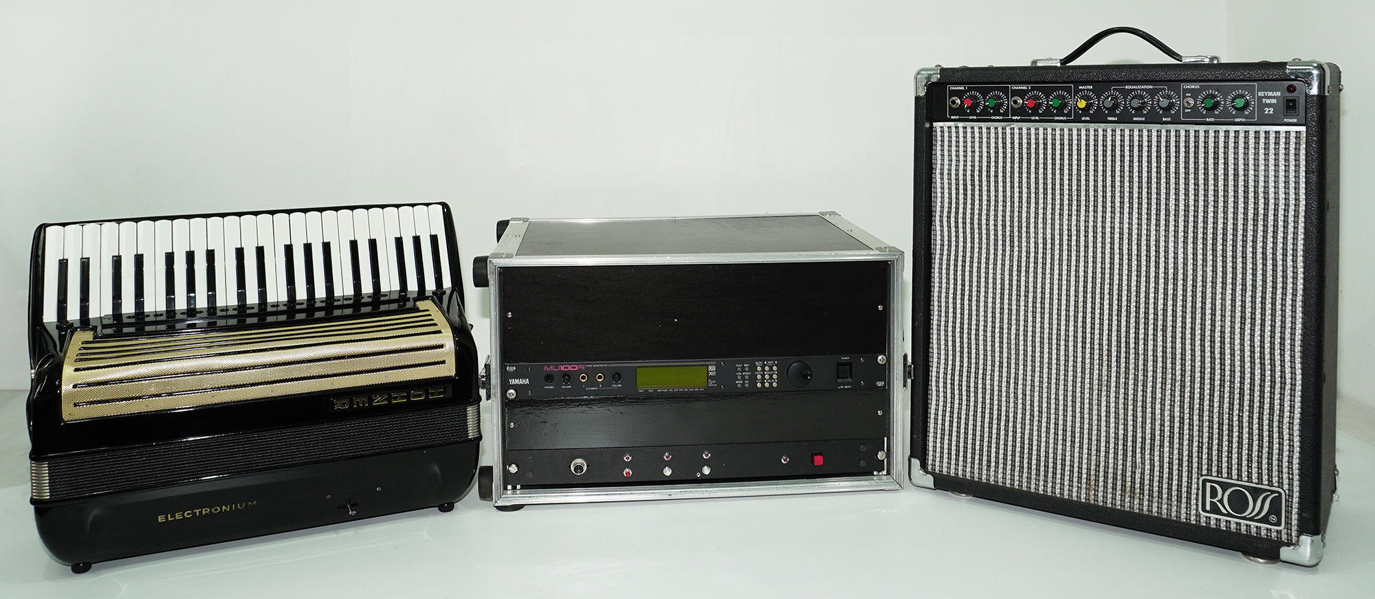 Hohner Electronium Synthesizer Accordion, made in Germany, Rare Old Musical Instrument, 2570