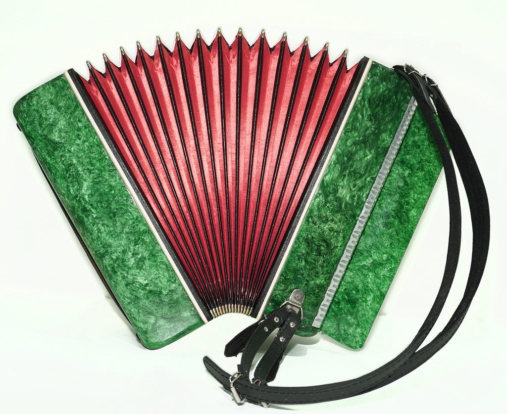 Bayan Tembr, Button Accordion Instrument, 100 Bass Buttons, New Straps and Soft Case for Gift, Concertina Stradella B System, 2609