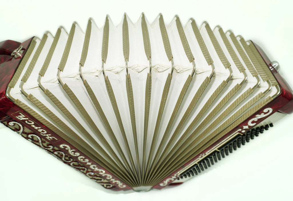Horch Deluxe Full Size Piano Accordion 120 Bass, made in Germany, New Straps and Hard Case, Powerful Sound! Musical Instrument for Adults! 2606