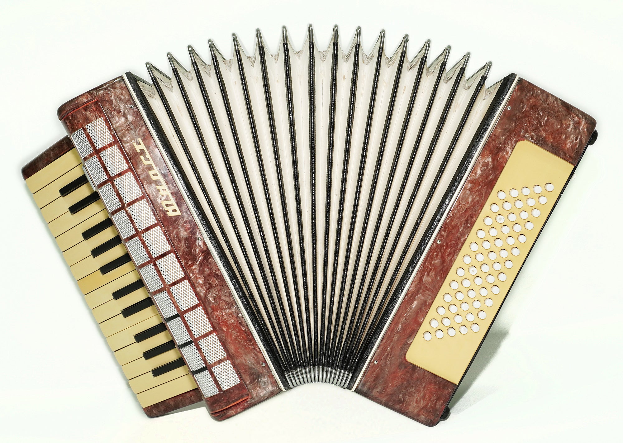 Small Concertina Musicales for Study, Lightweight Piano Accordion 60 Bass Yunost for Beginners Children Kids, New Straps, 2630