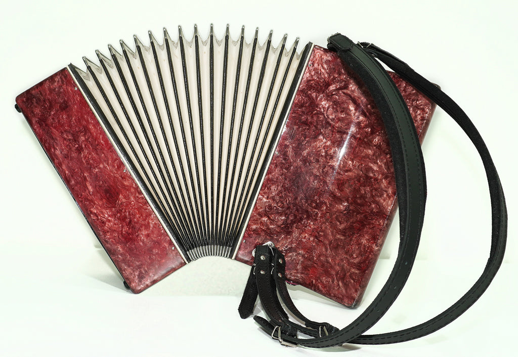 Small Concertina Musicales for Study, Lightweight Piano Accordion 60 Bass Yunost for Beginners Children Kids, New Straps, 2630