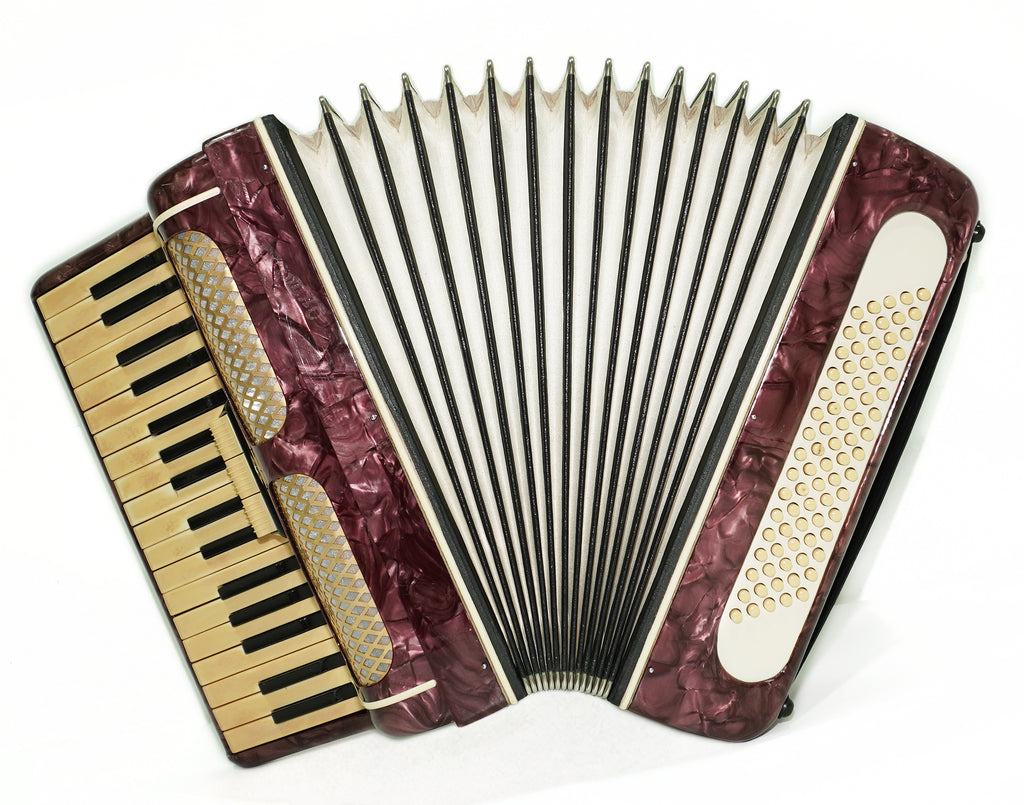 Octava Piano Accordion 80 Bass, made in Russia, New Straps, Accordian for Beginners Children for Study, 2665