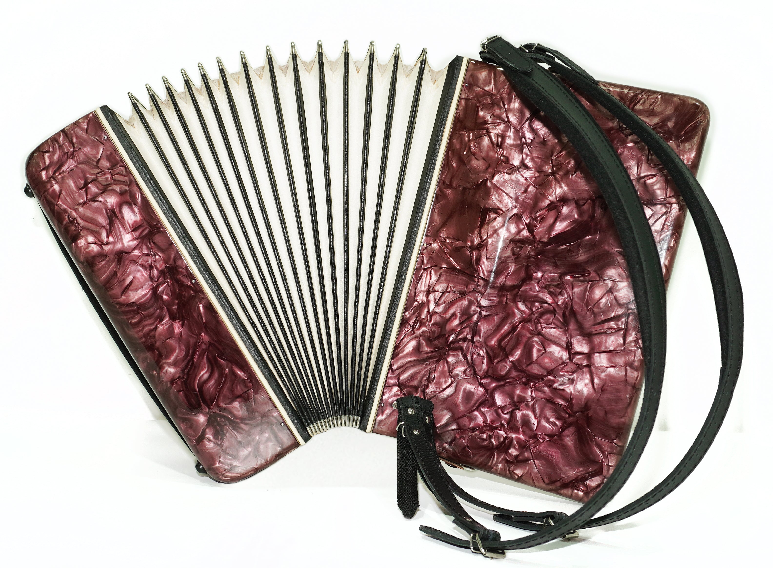 Octava Piano Accordion 80 Bass, made in Russia, New Straps, Accordian for Beginners Children for Study, 2665