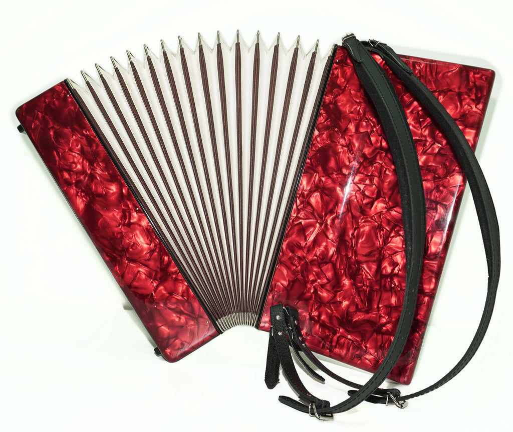 Weltmeister Diana Accordion 120 Bass, German Accordian Instrument, New Straps and Soft Case for Gift, Original Keyboard Piano Acordeone, 2619