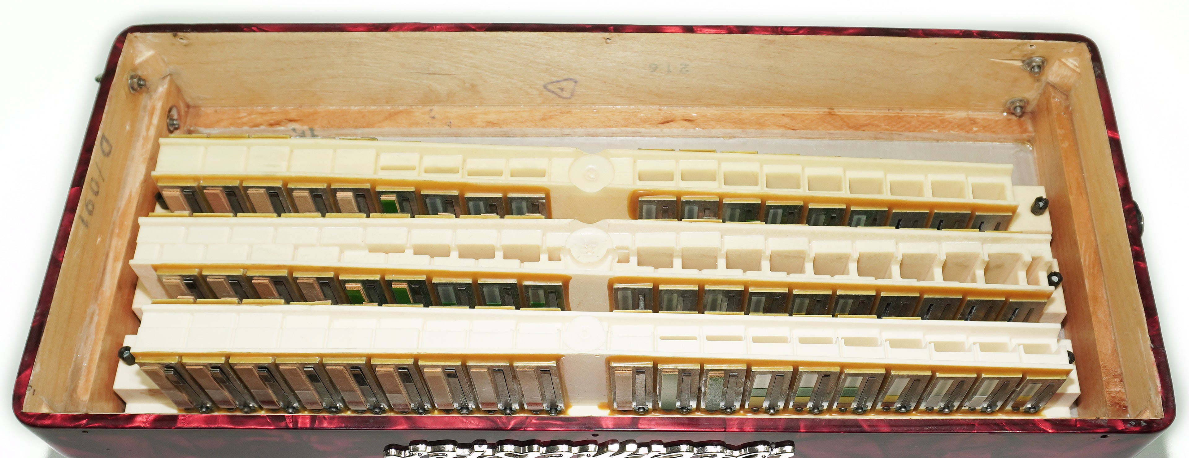 Weltmeister Caprice Accordion 96 Bass, German Accordian Instrument, New Straps and Soft Case for Gift, Original Keyboard Piano Acordeone, 2651