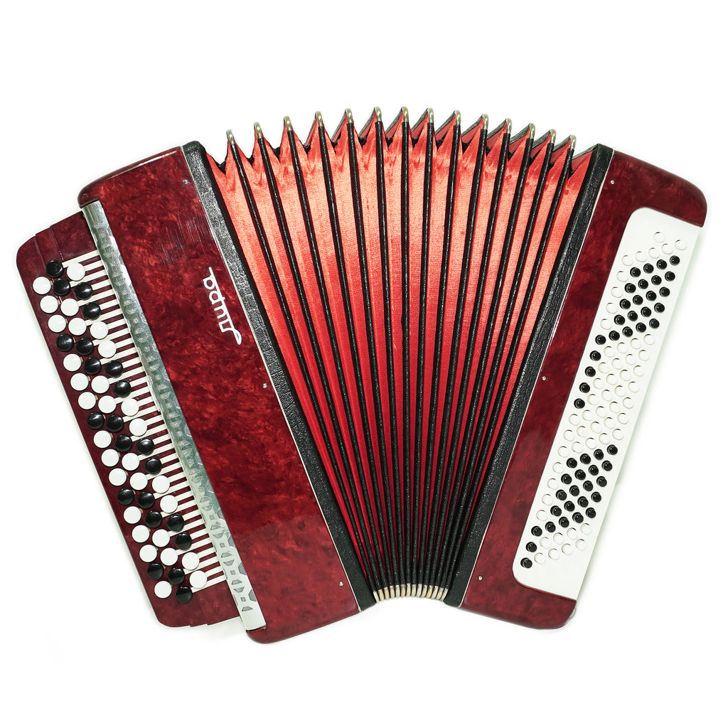 Chromatic Button Accordion 100 Bass 3 Row Bayan Lightweight, Stradella B System, with New Straps, 2656