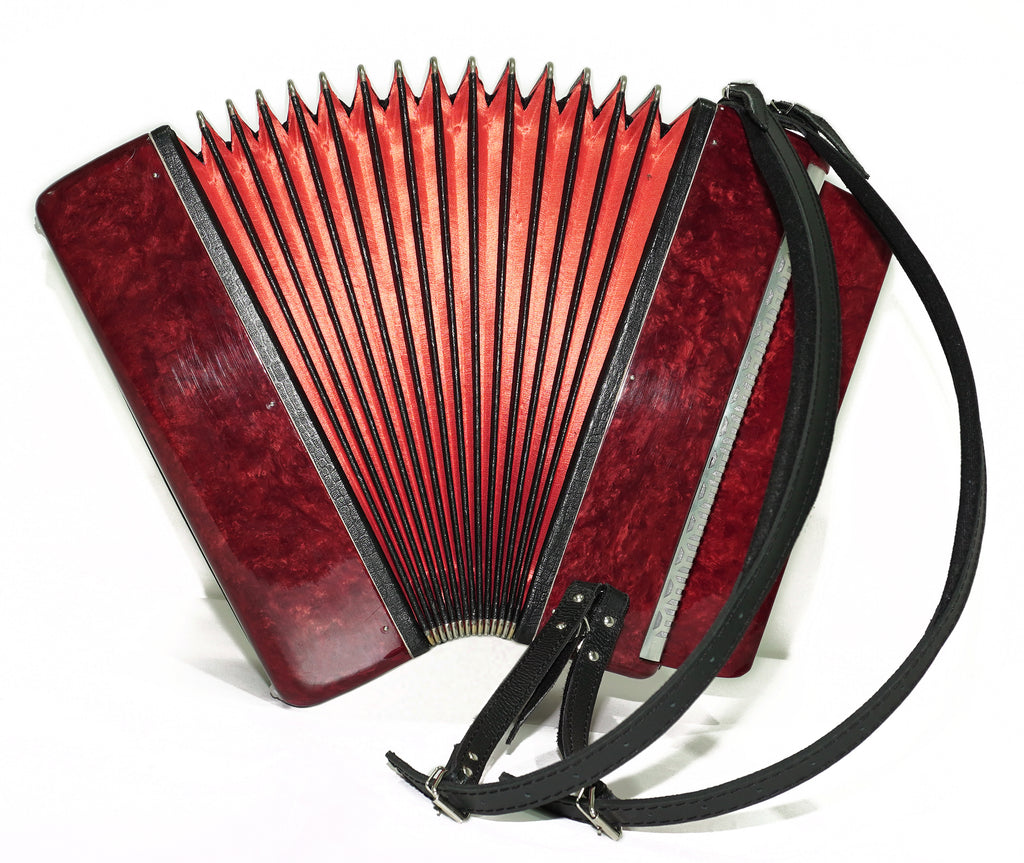 Chromatic Button Accordion 100 Bass 3 Row Bayan Lightweight, Stradella B System, with New Straps, 2656