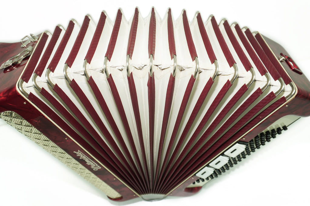 Weltmeister Accordion 96 Bass, German Piano Accordian, New Straps and Soft Case for Gift, Original Keyboard Musical Instrument, 2663