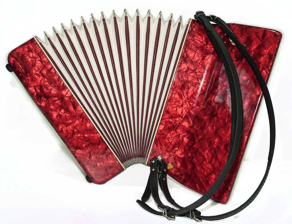 Weltmeister Accordion 96 Bass, German Piano Accordian, New Straps and Soft Case for Gift, Original Keyboard Musical Instrument, 2663