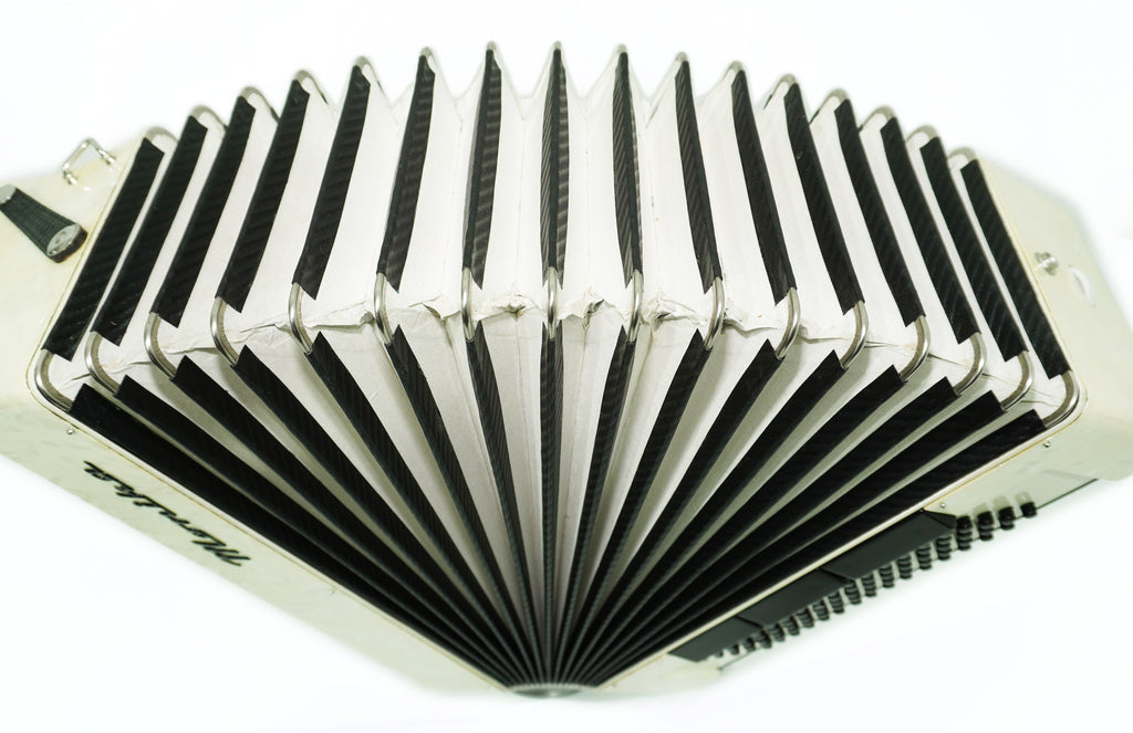 German Piano Accordion 80 Bass Monika, New Straps and Soft Case for Gift, Keyboard Accordian Musical Instrument, 2673