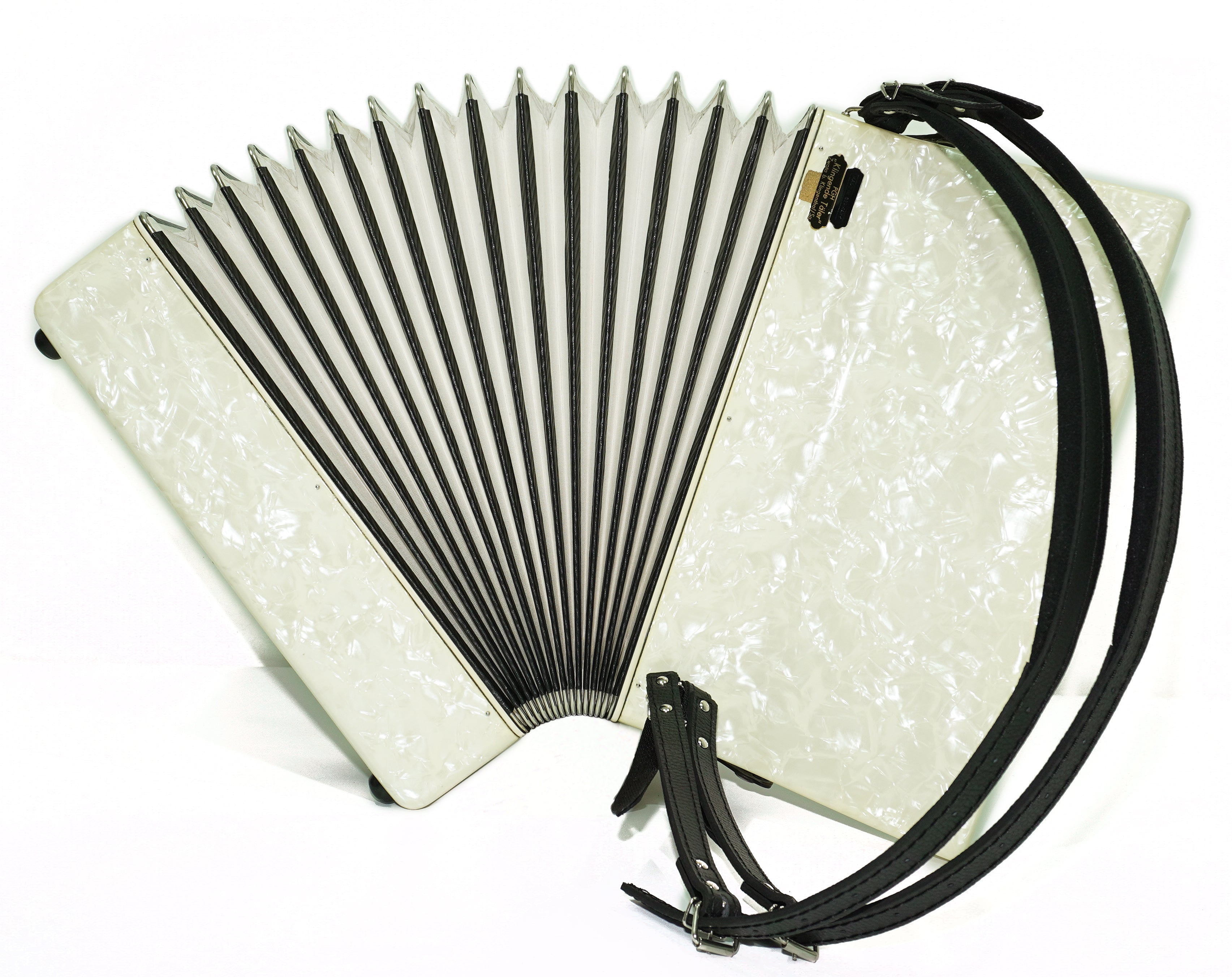 German Piano Accordion 80 Bass Monika, New Straps and Soft Case for Gift, Keyboard Accordian Musical Instrument, 2673