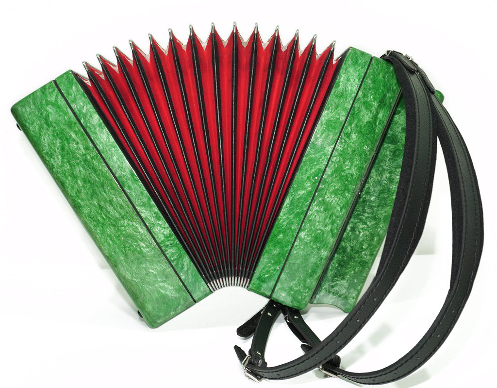 Tulskiy Russian Bayan Tula 202 Button Accordion 100 bass Acordeone de Botones, New Straps and Soft Case for Gift, 2678